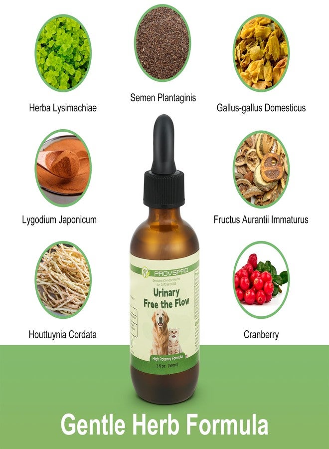 provspro Dog & Cat Bladder Crystals Treatment or Stone, Bladder Kidney Stones Dissolver for Pet, Cat Dog Urinary Tract Supplements for Kidney and Bladder Stones, Urinary Free The Flow, 2 fl oz (59ml) - Image 3